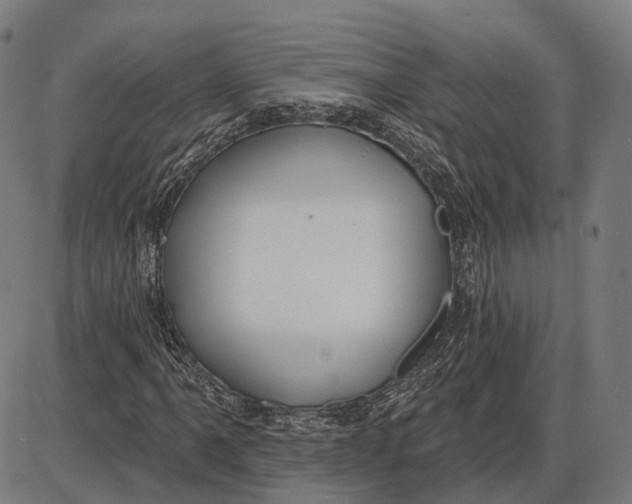 X0000085021061200703261215