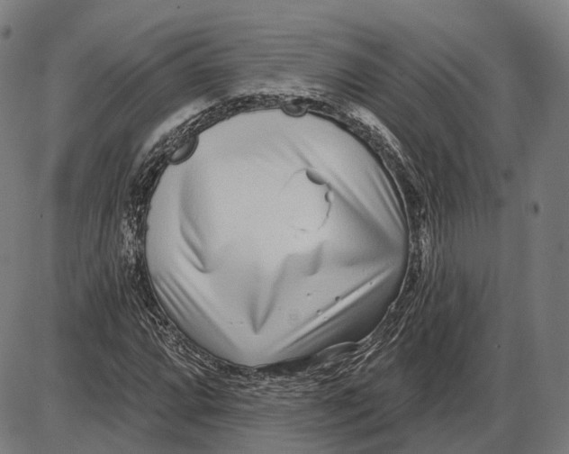 X0000085021064200703261215
