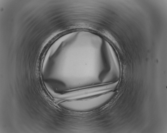 X0000085021068200703261215