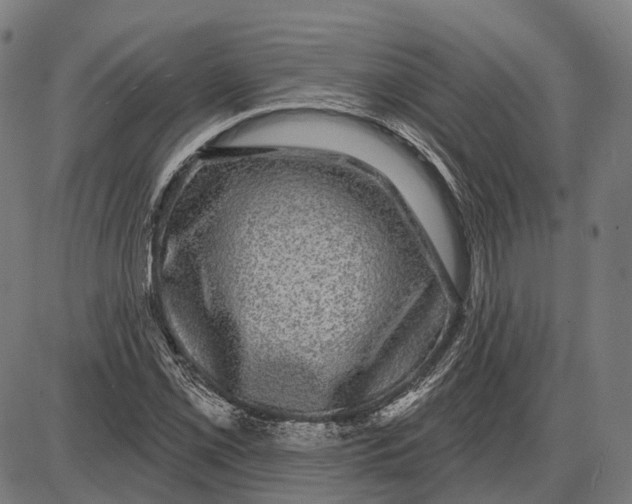 X0000085021069200703261215