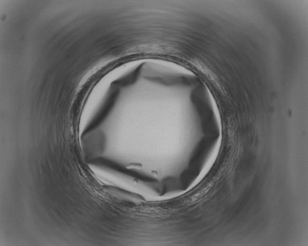 X0000085021070200703261215