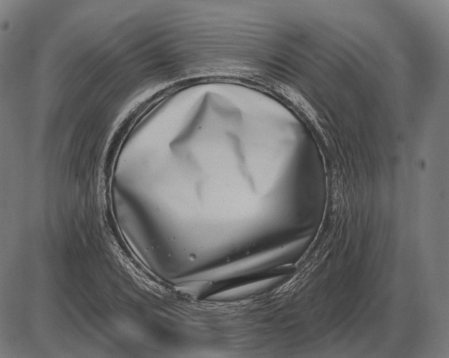 X0000085021072200703261215