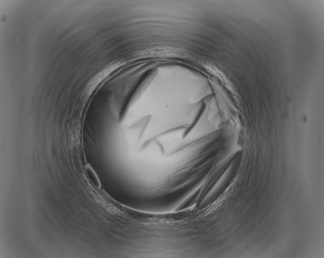 X0000085021081200703261214
