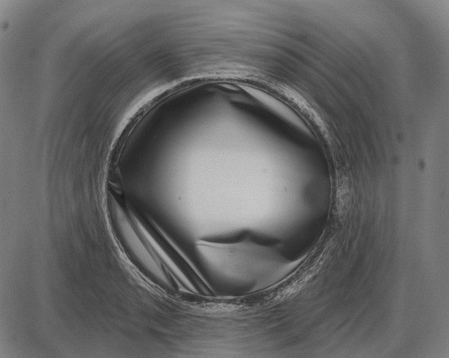 X0000085021085200703261214