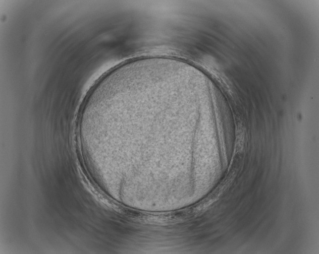 X0000085021086200703261214
