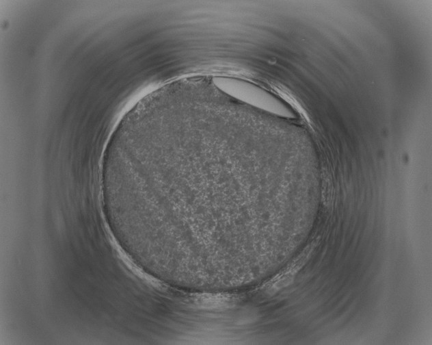 X0000085021087200703261214