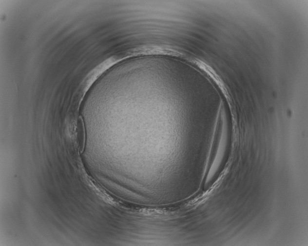 X0000085021089200703261214