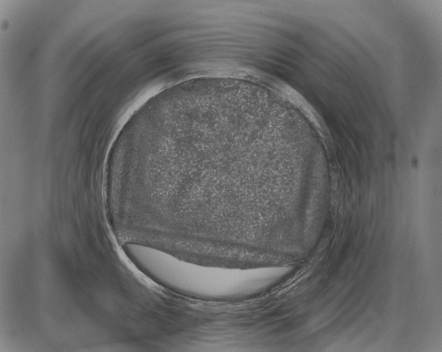 X0000085021095200703261214