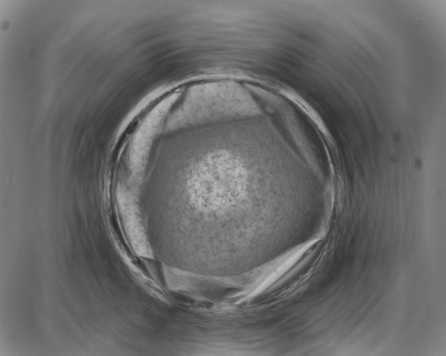 X0000085021101200703261214