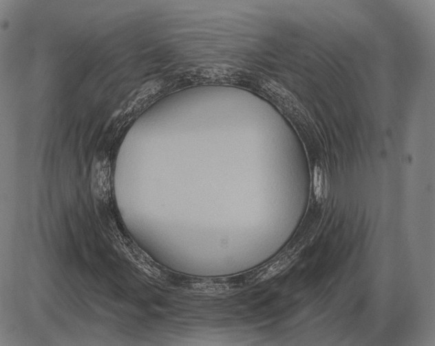 X0000085021107200703261213
