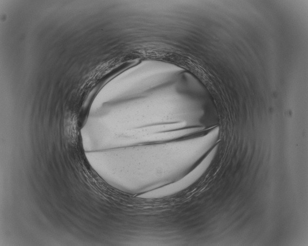 X0000085021108200703261213