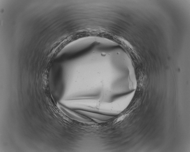 X0000085021110200703261213