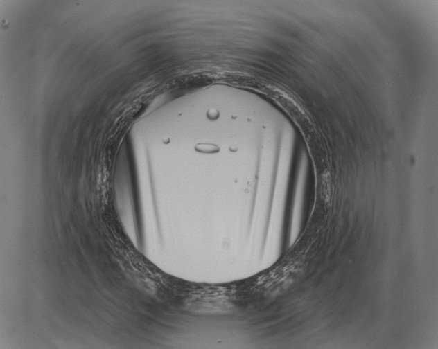 X0000085021111200703261213