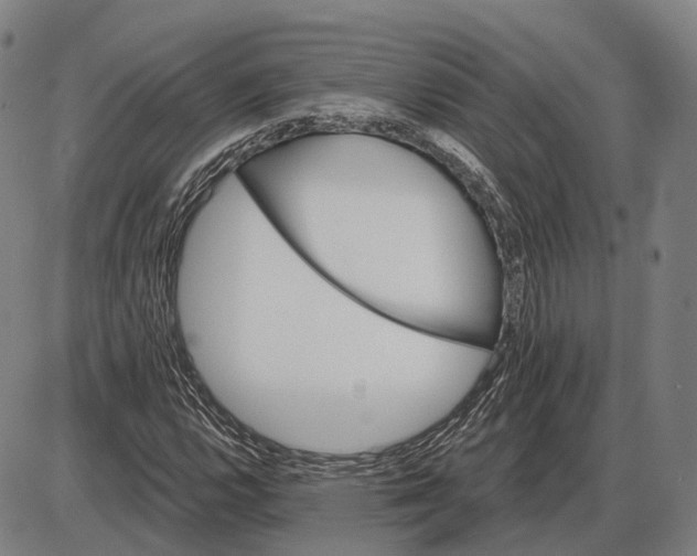 X0000085021112200703261213