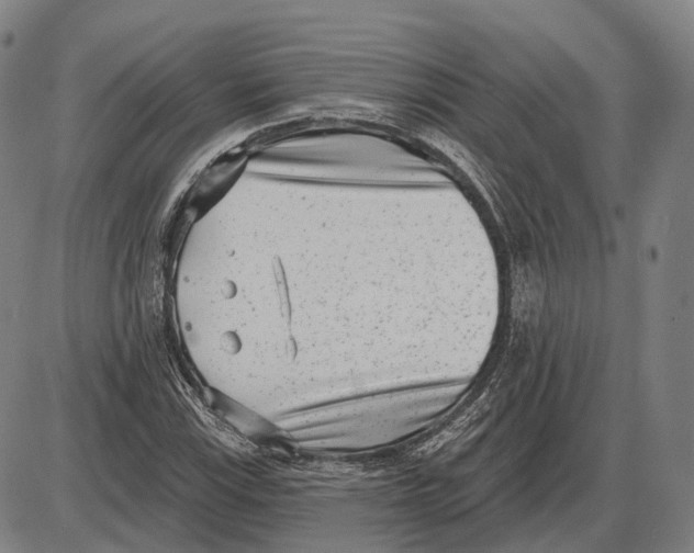 X0000085021115200703261213
