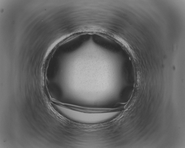 X0000085021120200703261213