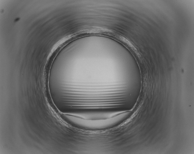 X0000085021122200703261214