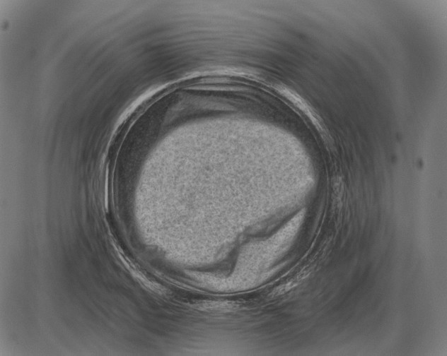 X0000085021127200703261214