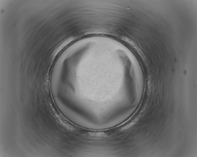 X0000085021129200703261214