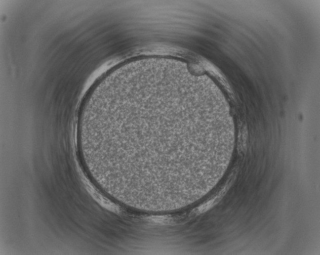 X0000085021130200703261214