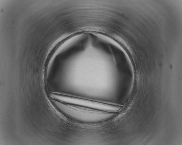 X0000085021133200703261214