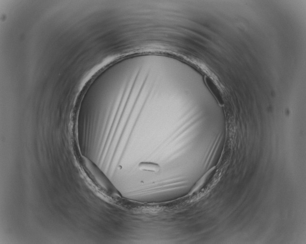 X0000085021134200703261214