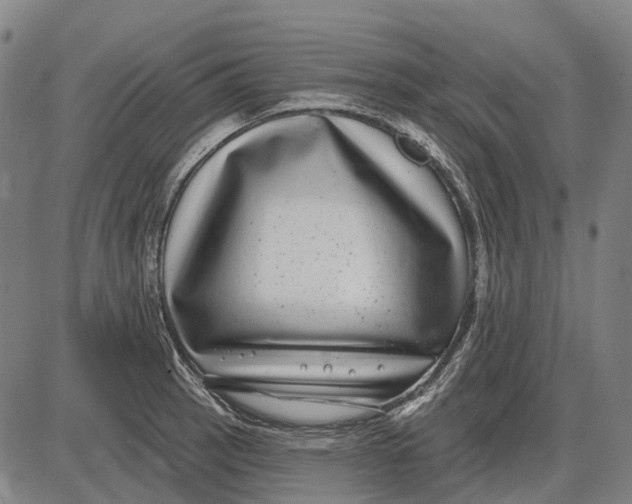 X0000085021137200703261214