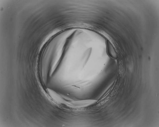 X0000085021139200703261214