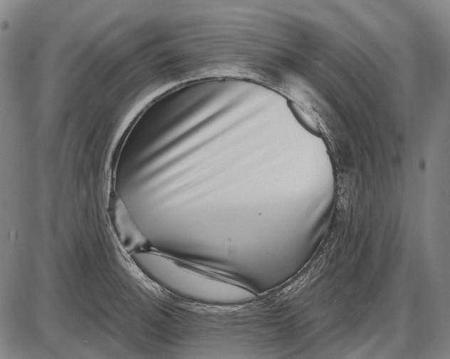 X0000085021140200703261214