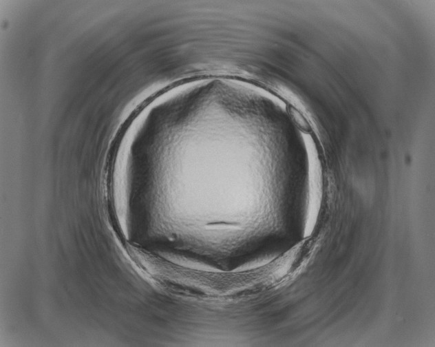 X0000085021141200703261214
