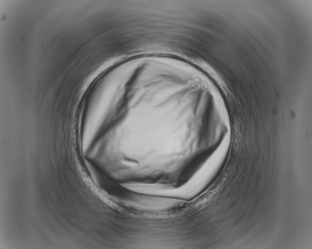 X0000085021142200703261214