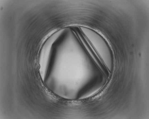 X0000085021145200703261214