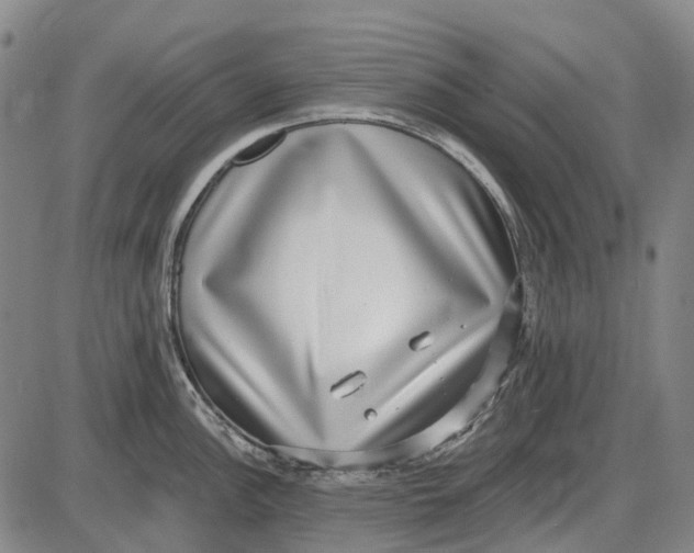 X0000085021148200703261214