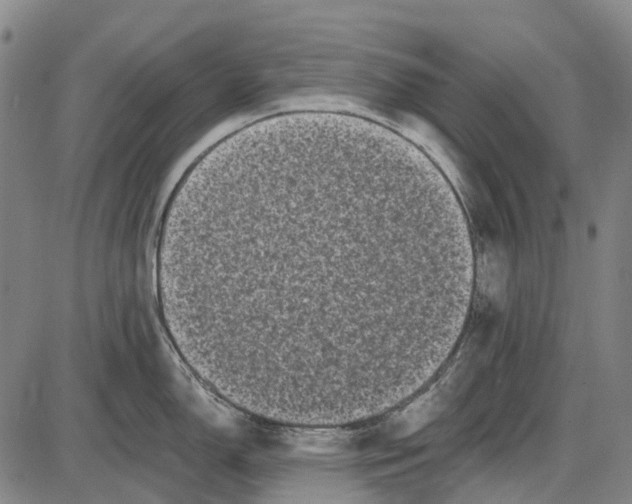 X0000085021150200703261214