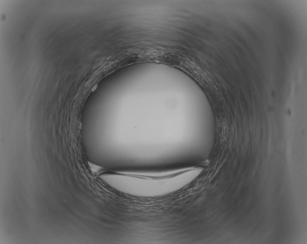 X0000085021153200703261213