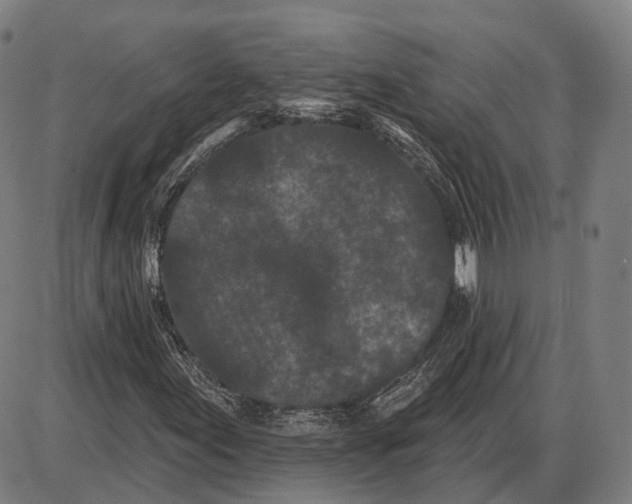 X0000085021155200703261213