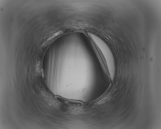 X0000085021156200703261213