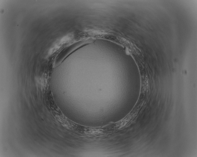 X0000085021157200703261213