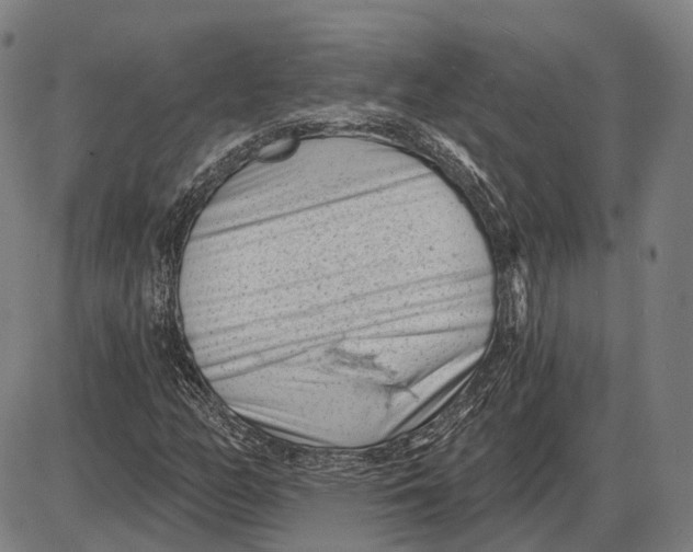 X0000085021158200703261213