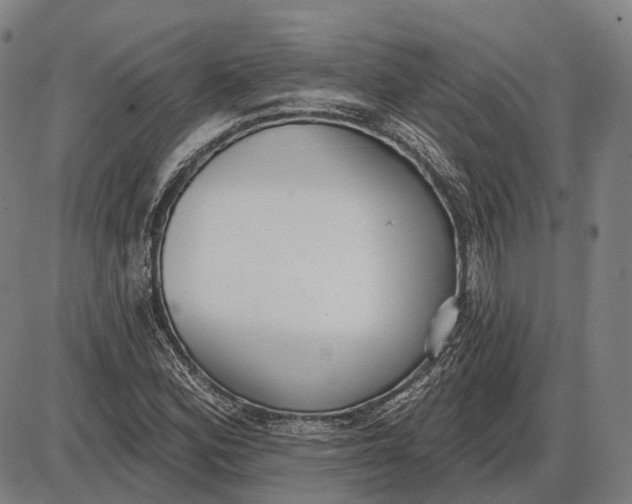 X0000085021164200703261213
