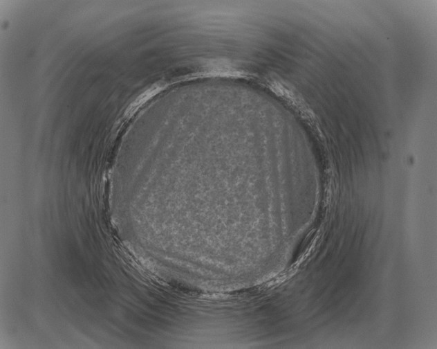 X0000085021169200703261213