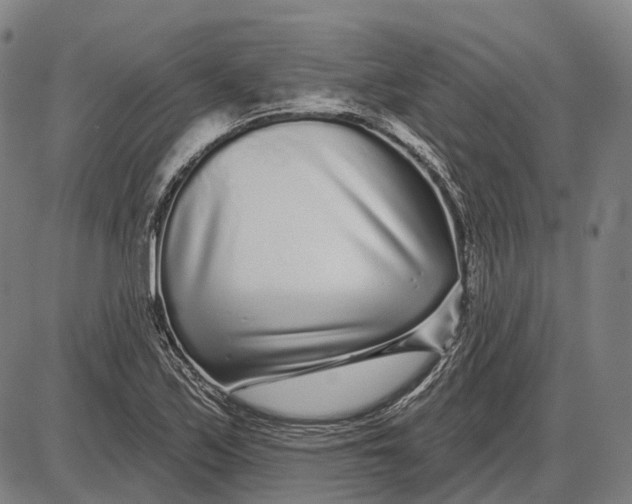 X0000085021171200703261213