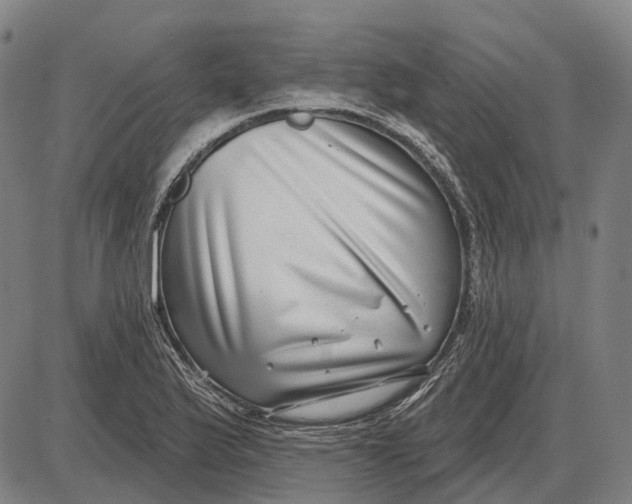 X0000085021175200703261213
