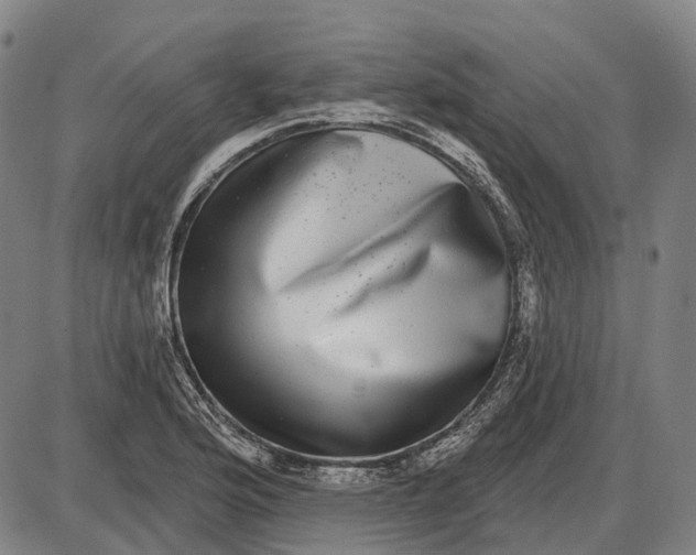 X0000085021176200703261213