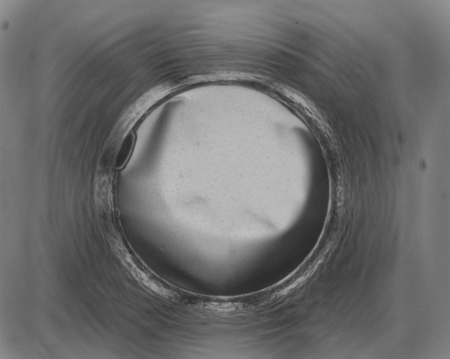 X0000085021177200703261213