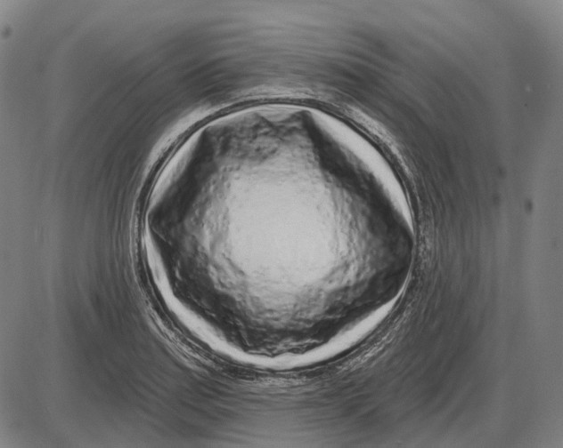 X0000085021179200703261213