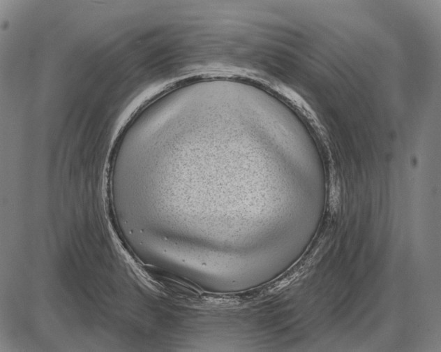 X0000085021183200703261213