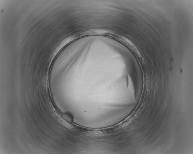 X0000085021186200703261213
