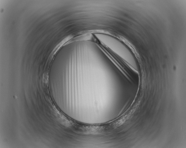 X0000085021193200703261213