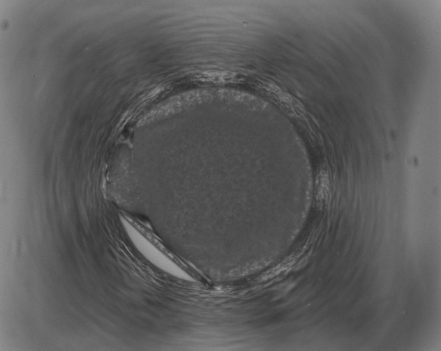 X0000085021202200703261212